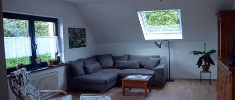Smart TV, DVD player, books, stereo