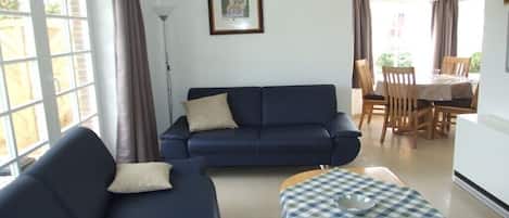 TV connectée, cheminée, chaîne hi-fi