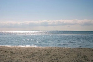 Beach - Summerhouse by Isefjorden with access to the beach (Jægerspris)