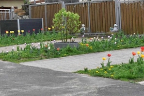Ein Garten mit verschiedenen Tulpen und einem kleinen Baum.
