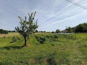 Verschiedenes