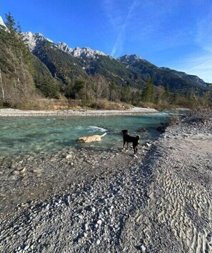 Beach - Holiday apartment with 1 bedroom (Mittenwald)