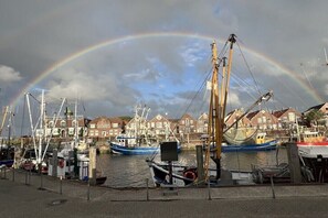 Ein Hafen mit Booten, einem Regenbogen und Häusern im Hintergrund.