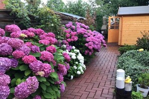 Ein Garten mit Hortensienbüschen, einem Ziegelweg, einem Holzshed und einem Schornstein.