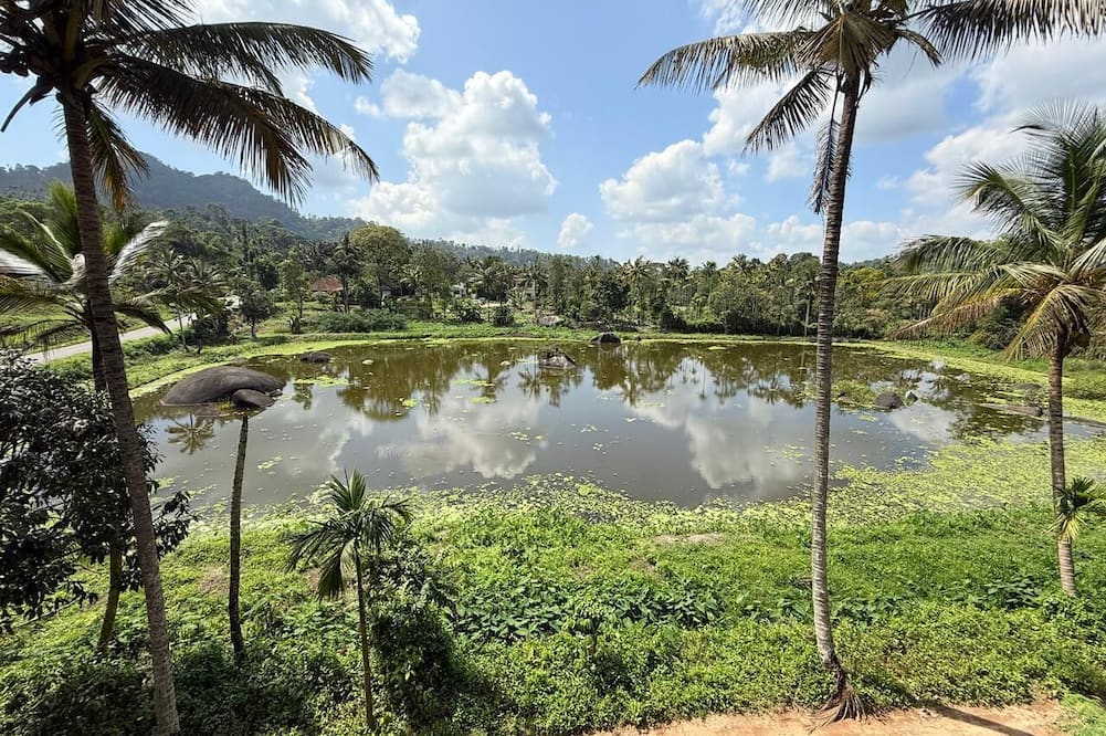 SOUPARNIKA LAKEVIEW HOMESTAY LLP