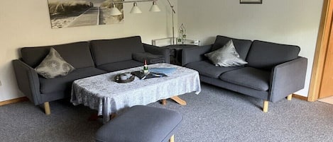 Smart TV, fireplace, DVD player, ping pong