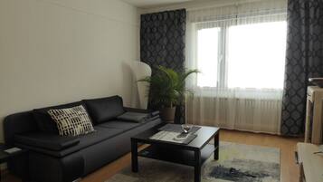 Smart-TV, DVD-Player, Bücher, Stereoanlage