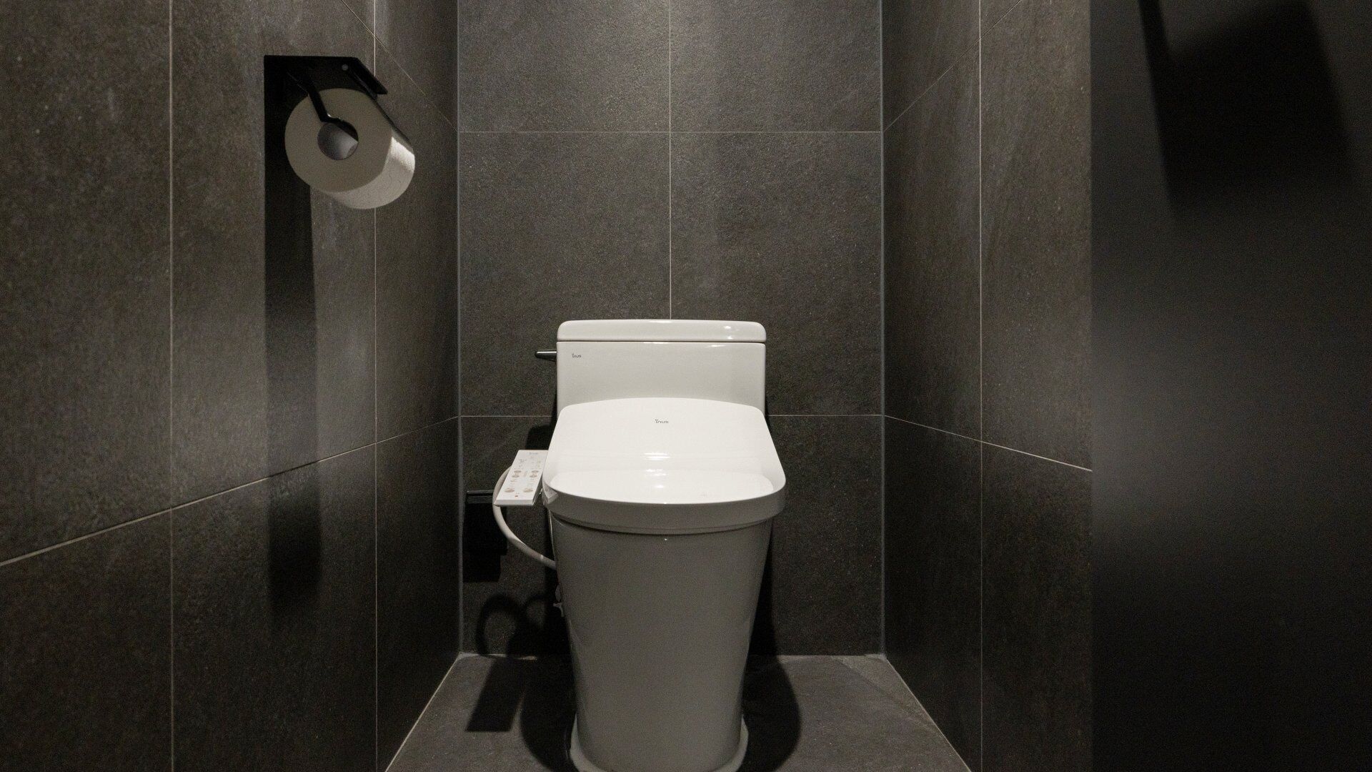 A modern bathroom with a toilet, a toilet paper holder, and a wall-mounted flush handle.