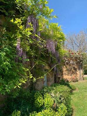 Un jardin avec un mur de pierre, différentes plantes et un ciel bleu dégagé.