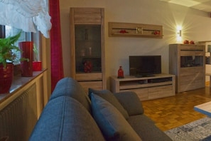 A living room with a sofa, TV, wooden cabinets, and a fireplace. - in the Eifelwiese house (Monschau-Höfen)