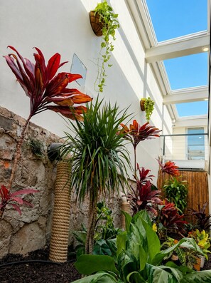 Variedad de plantas en macetas dispuestas frente a una pared blanca con una base de piedra, un pilar envuelto en cuerda y un cielo despejado visible a través de una ventana.