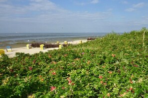 A beach with a row of yellow chairs and a sandy area. - Holiday apartment with 2 bedrooms (Cuxhaven)
