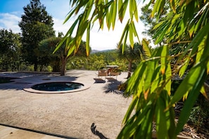 A pool area with a circular hot tub, surrounded by palm trees and a view of distant hills.