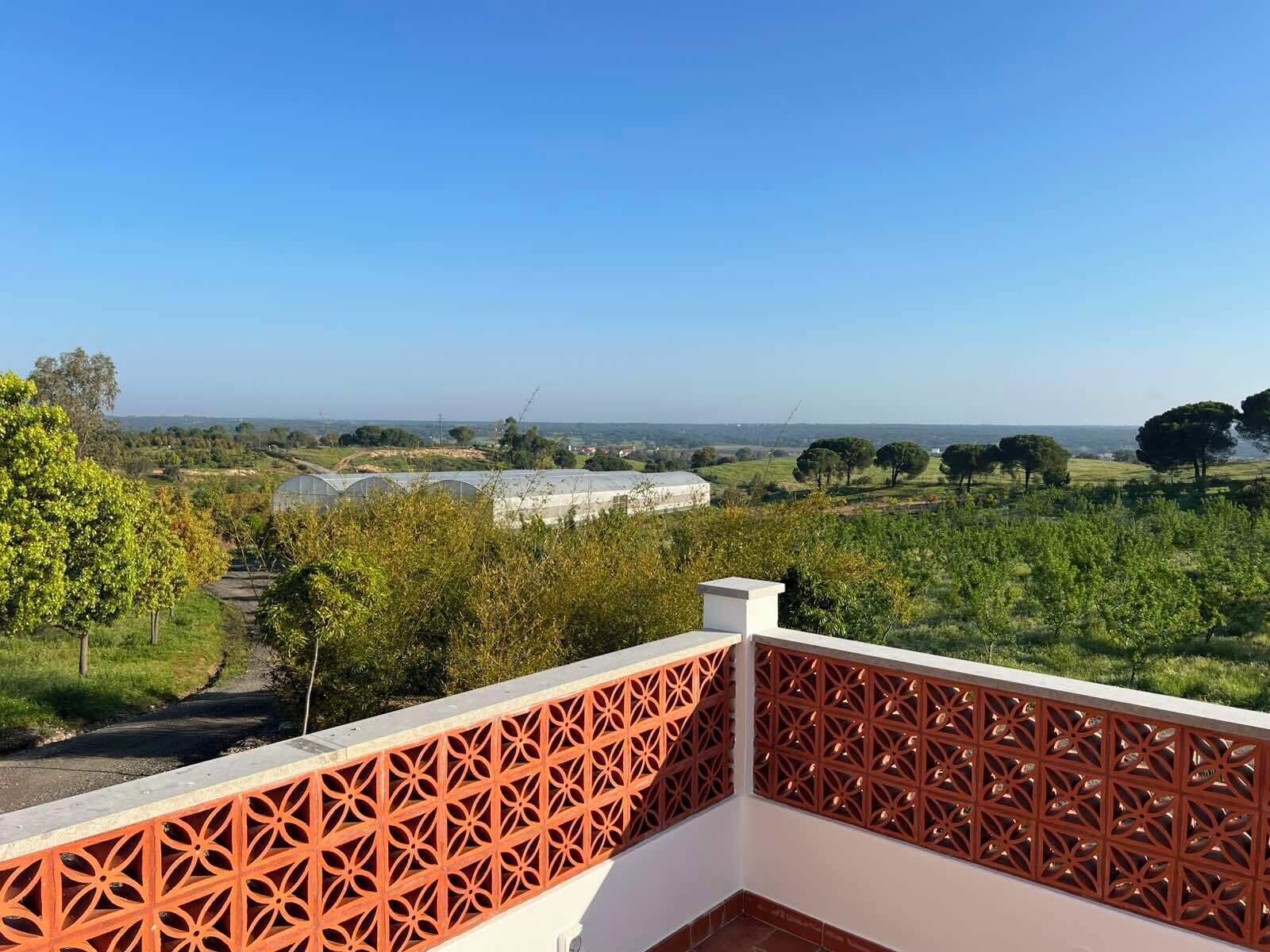 Un balcón con vistas a un viñedo y edificios lejanos.