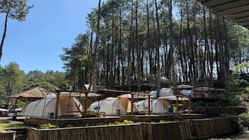 Tent | Exterior