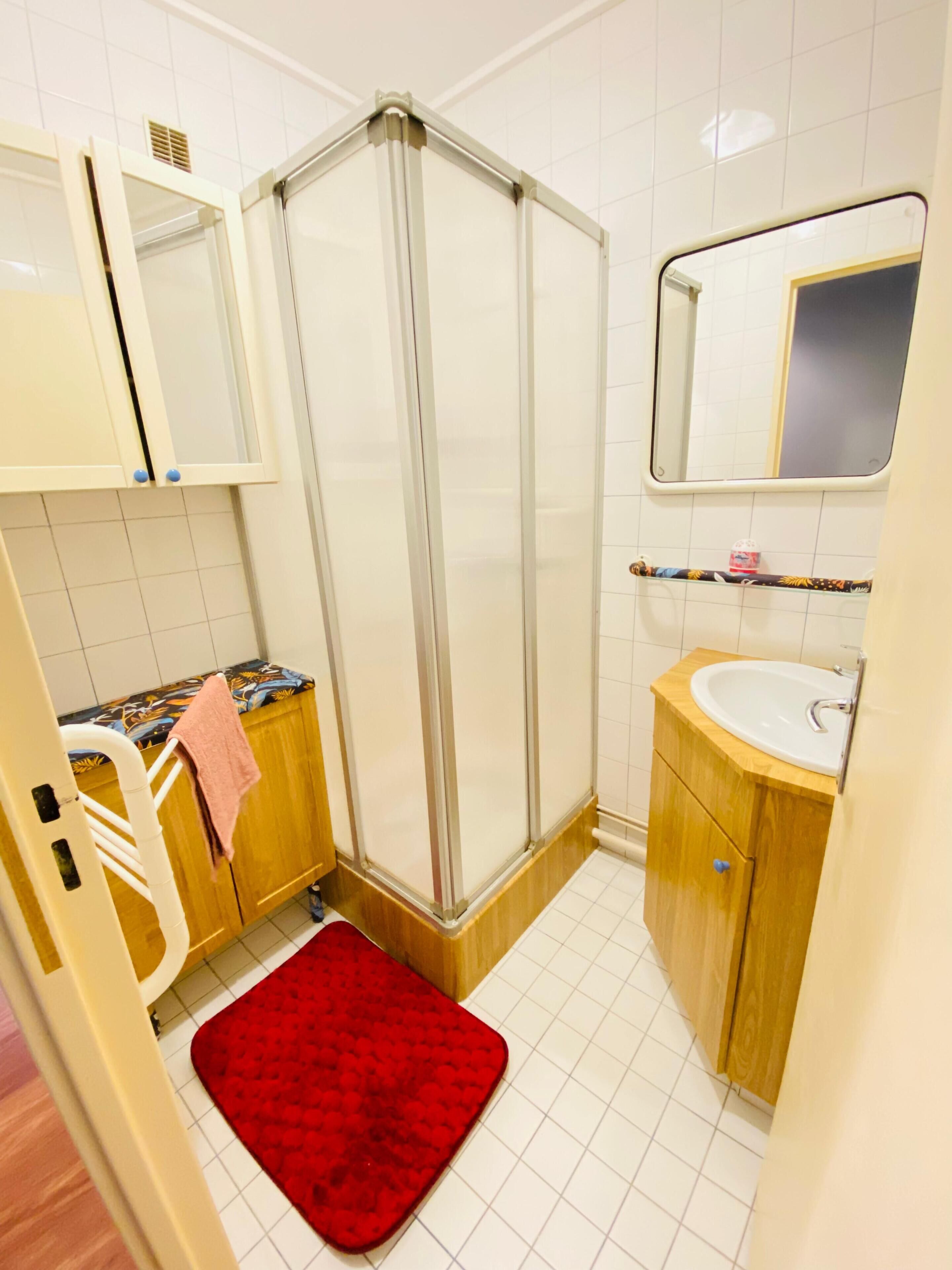 A bathroom with a shower, a sink, a mirror, and a red rug.