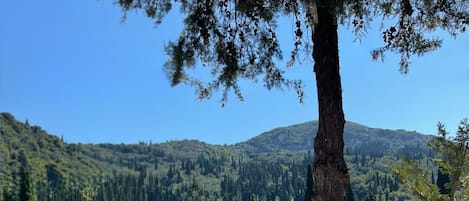 泳池