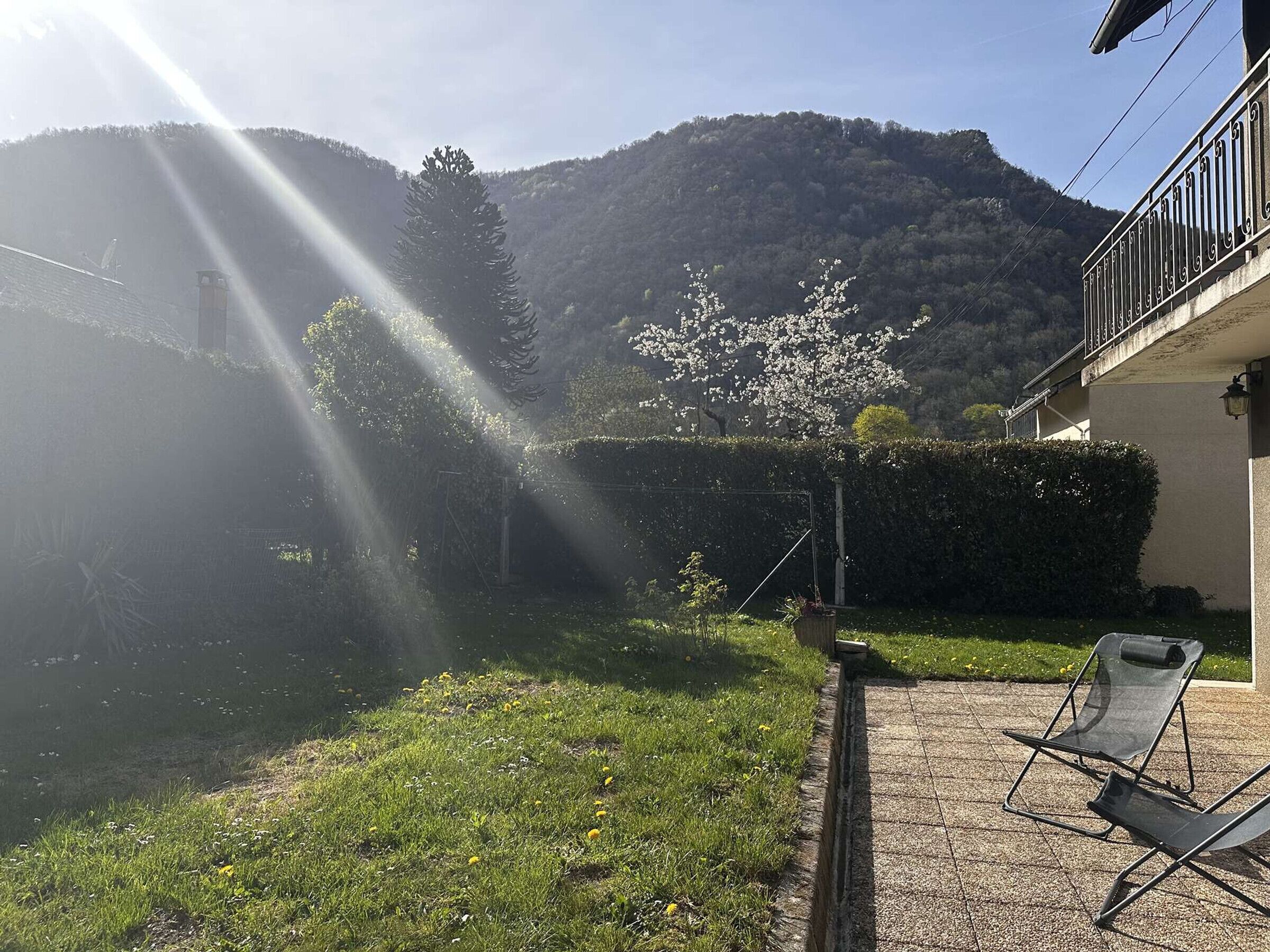 Un jardin avec une pelouse, un arbre et une montagne en arrière-plan.
