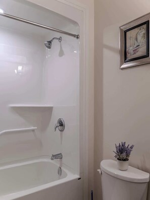 Chuveiro, secador de cabelo, shampoo 