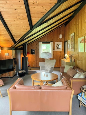 Fernseher, Kamin