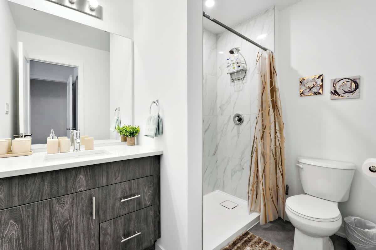 Shower, hair dryer, shampoo