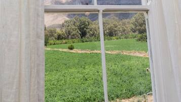 Luxury Suite, Mountain View | In-room safe, iron/ironing board, free WiFi