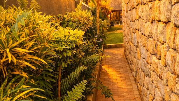 A pathway flanked by lush greenery and stone walls, leading to a building.
