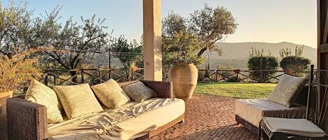Terrass/Patio