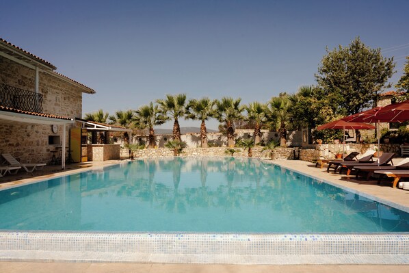 Una piscina con sillas de descanso y palmeras.
