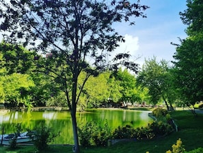En lugn park med en damm, frodig grönska och träd.