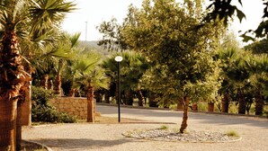 Zona ajardinada con palmeras, un muro de piedra y un camino pavimentado.