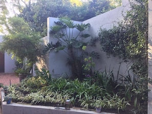 Ein Garten mit verschiedenen Pflanzen und einer weißen Mauer.