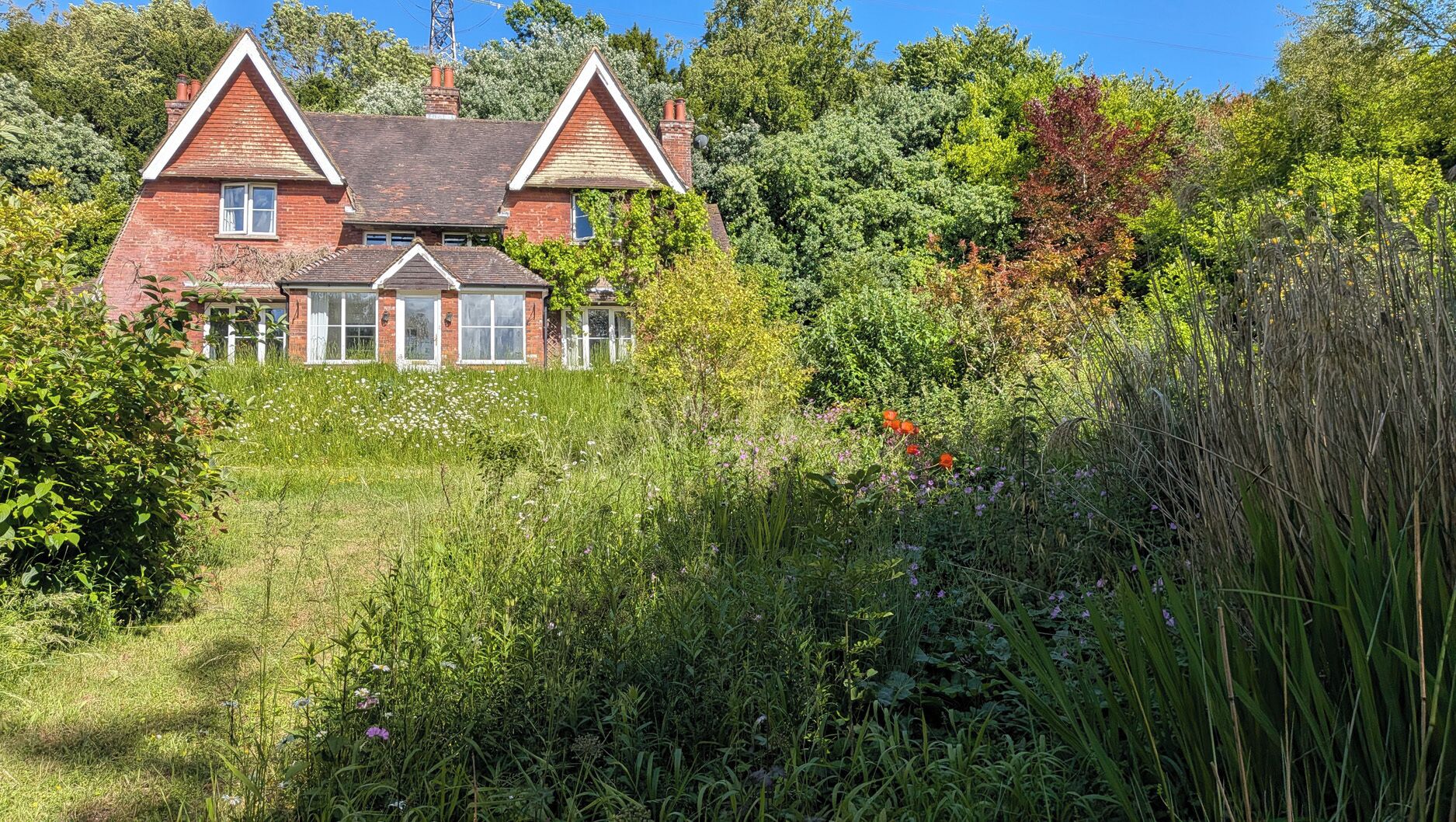 A two-story house with a brick facade and white trim, surrounded by dense vegetation and tall grasses.