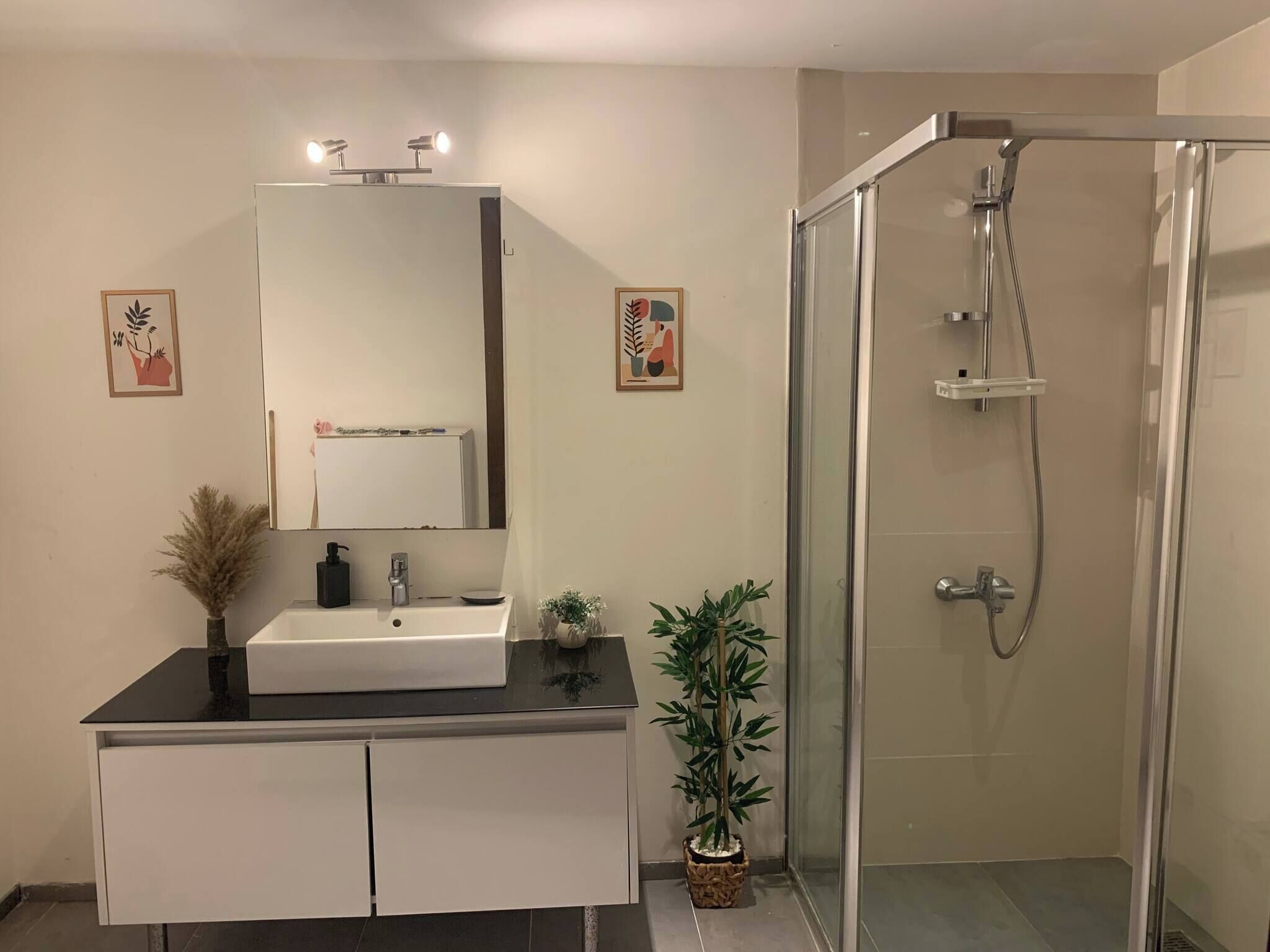 Une salle de bain dotée d’une douche à parois de verre, d’un meuble-lavabo blanc avec un plan de travail noir et de deux miroirs fixés au mur.