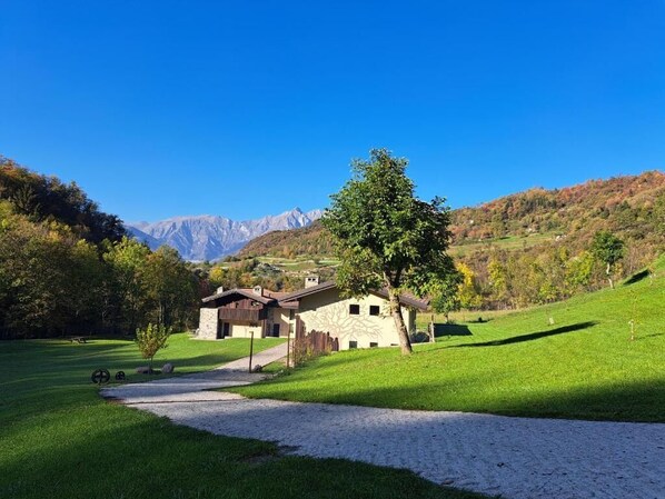 A rural house with a stone facade, a wooden roof, and a gravel driveway.