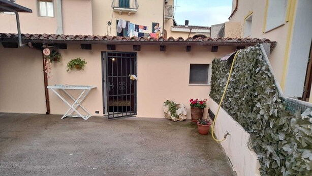 Un patio con una reja de metal, un tendedero, plantas en macetas y una pared cubierta de hiedra.