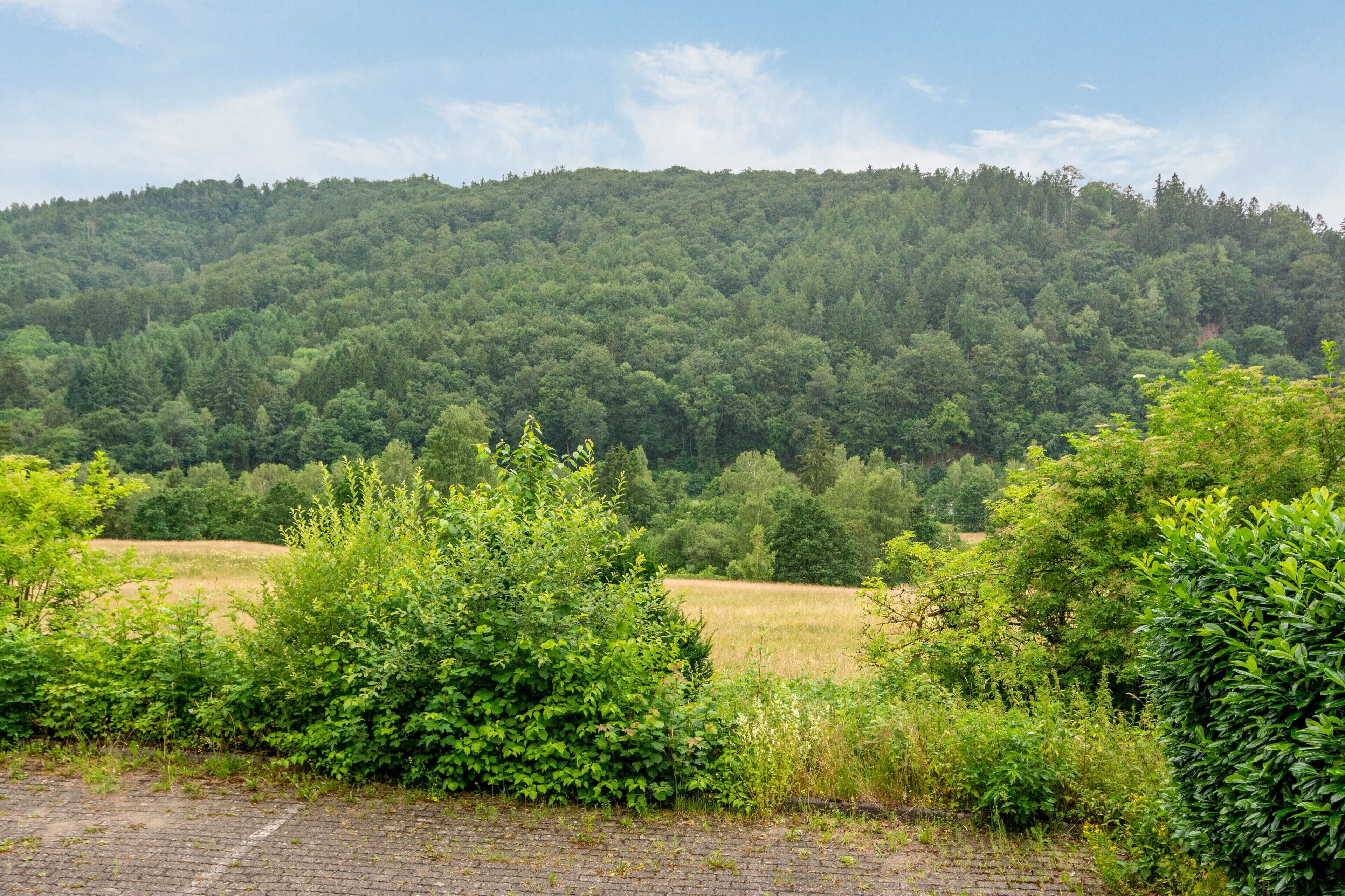 Un paysage naturel composé d’une colline boisée et d’un sentier pavé.