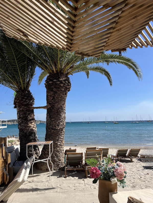 Un salon de plage agrémenté de palmiers, de chaises longues et offrant une vue sur la mer.