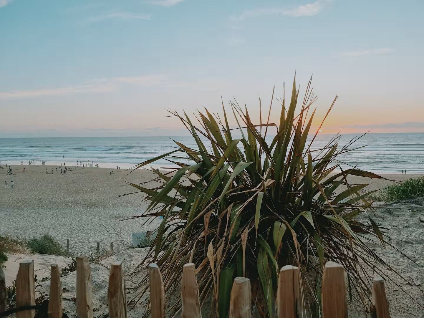 Plage