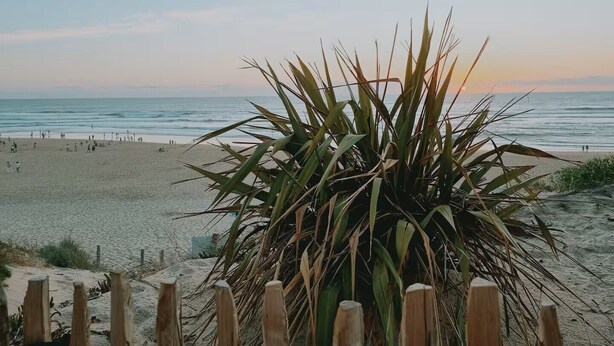 A beach with a wooden fence and a plant in the foreground. - House in Mimizan, between the lake and the ocean (Mimizan)