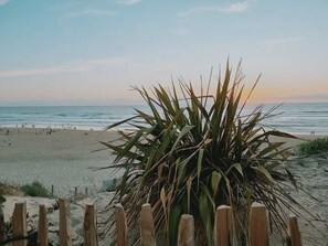 A beach with a wooden fence and a plant in the foreground.
