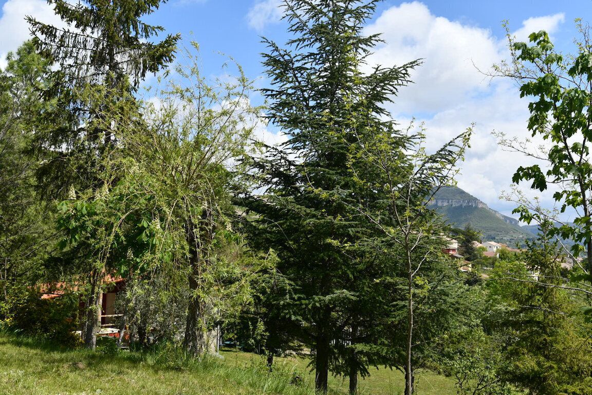 A natural landscape with trees and a mountain in the background.