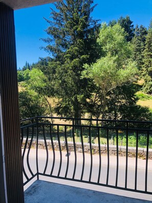 A balcony with a metal railing overlooking a road and a forested area. - Village house, Margeride hiking base, 170 m², sleeps 13–17 people. Apartments + Duplexes: Lowest Prices (Serverette)