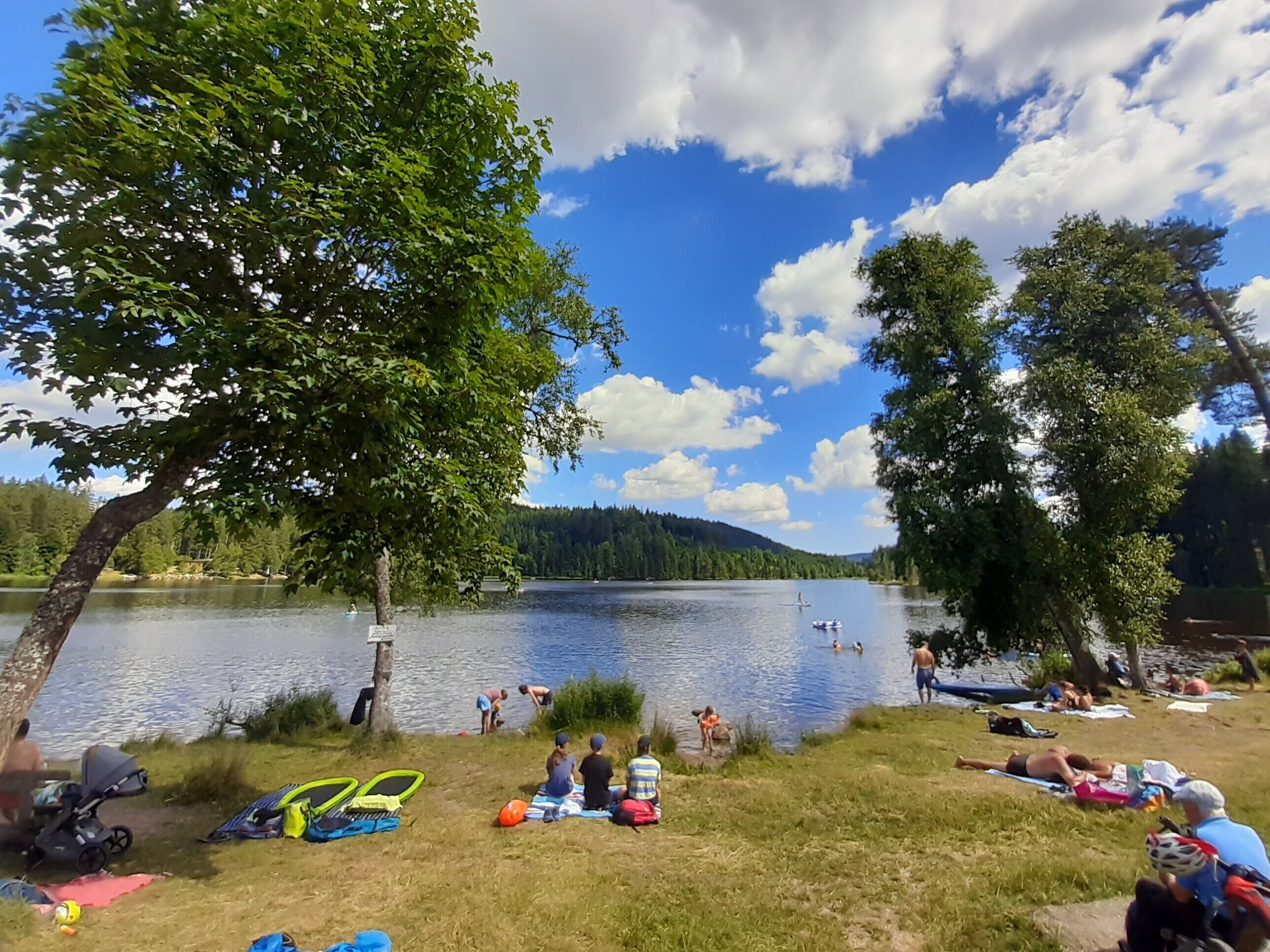 Eine Uferlandschaft mit Menschen, die verschiedene Aktivitäten ausüben, einer Wiese mit Campingausrüstung und einer von Bäumen gesäumten Aussicht.