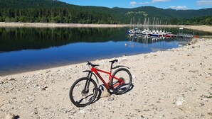 A red mountain bike parked on a rocky shore with a calm lake and boats in the background. - Apartment 'Kopffrei on 1000 m² /Apartment 2 with Shared Garden, Balcony & Wi-Fi (Feldberg (Schwarzwald))