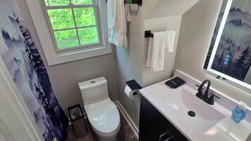Hair dryer, towels, soap, toilet paper