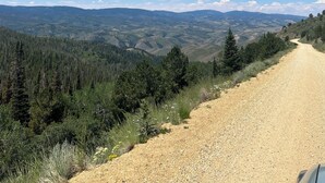 A gravel road winding through a forested hillside with distant mountains under a clear blue sky.