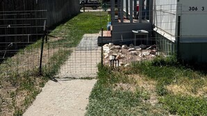 A fenced outdoor area with a gravel path, a wooden fence, and a building with the number 306 3.
