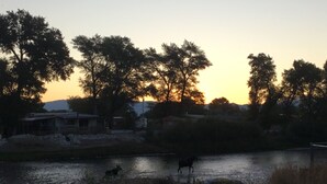 A river with trees and a building in the background.
