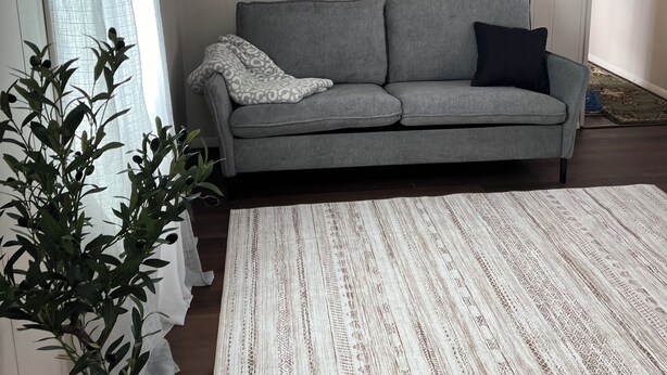 A living room with a grey sofa, a patterned rug, a potted plant, and a wall with a decorative painting.